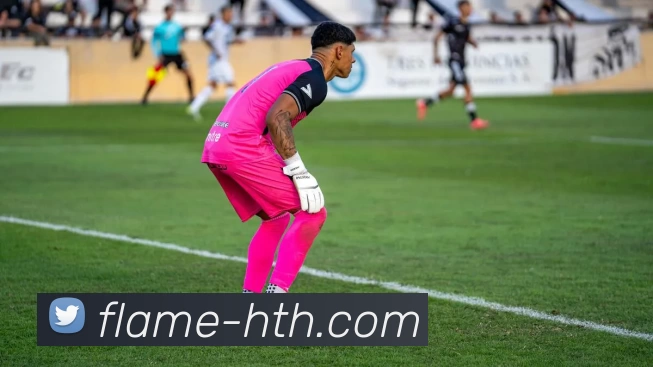 华体会首页平台生态图