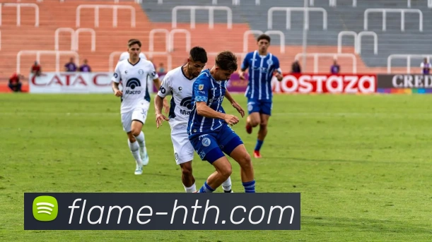 华体会首页APP 封面图